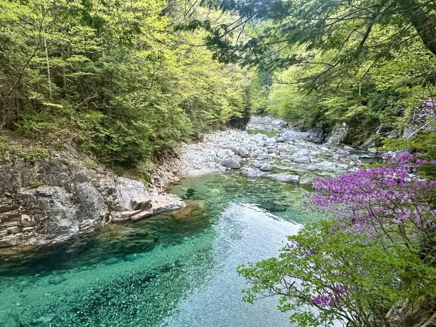 Kuma-ga-fuchi in Atera Valley with transparent blue-green water, pale rocks and dense forest