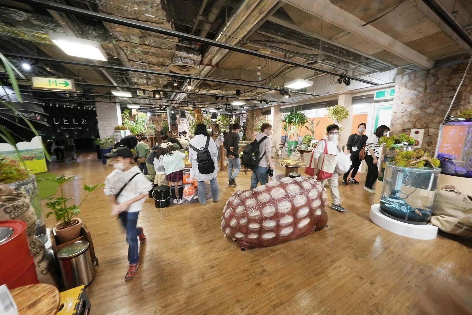 Indoor reptile and family viewing area at Nara Ikimono Museum