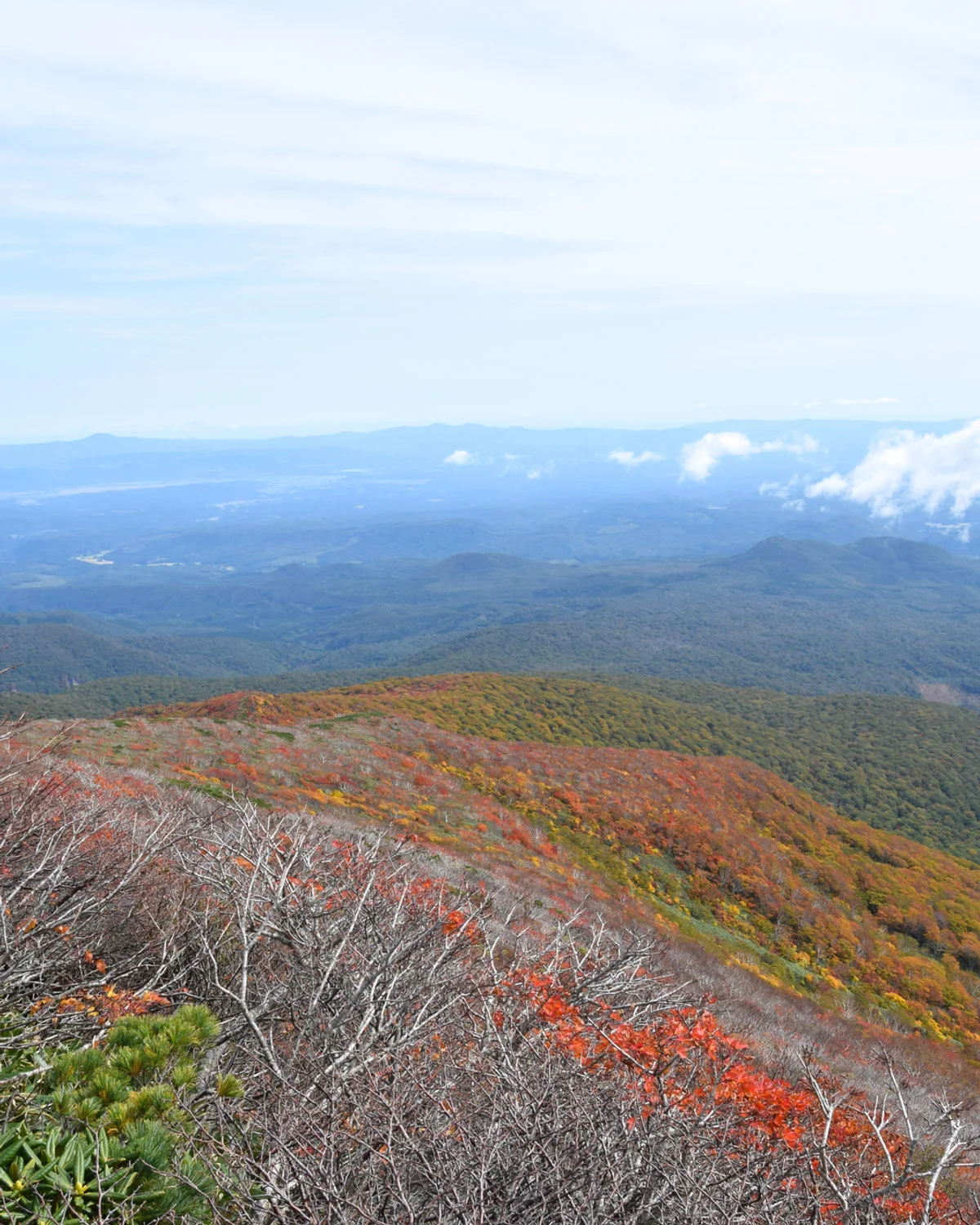 High-elevation autumn foliage and formal hiking terrain on Mount Kurikoma
