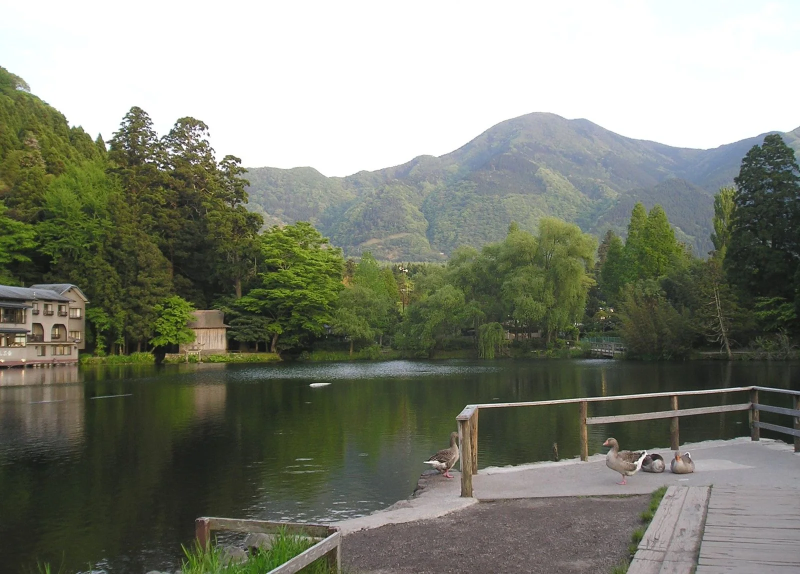 Lake Kinrin in Yufuin showing the later low-elevation Kyushu autumn season