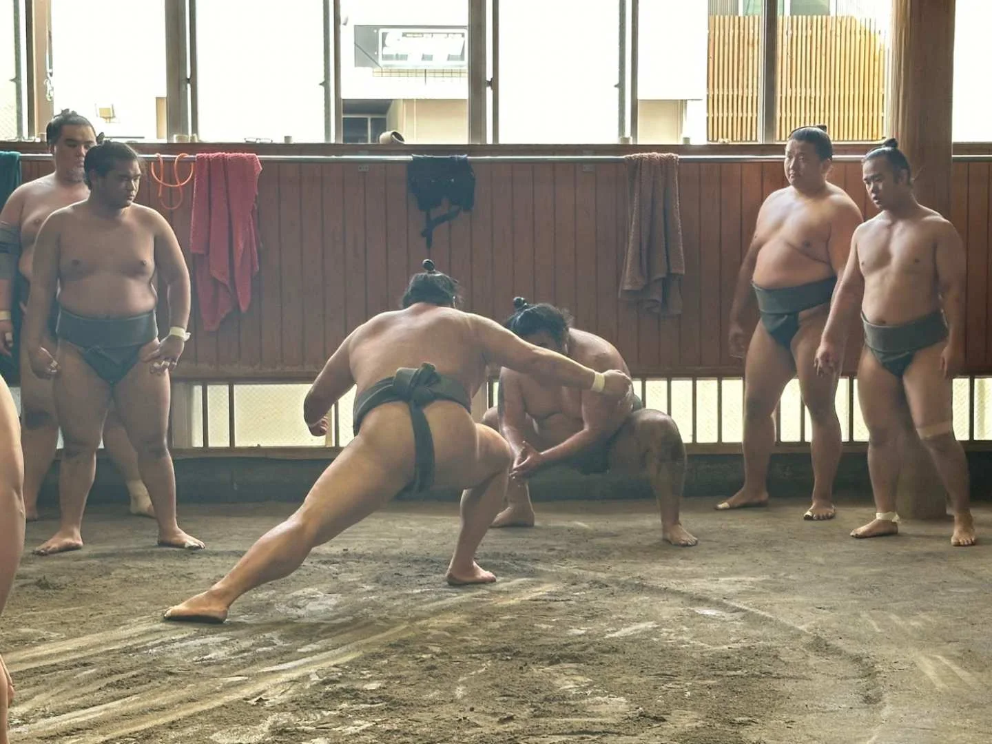 Close view of wrestlers training during a Tokyo sumo stable morning practice