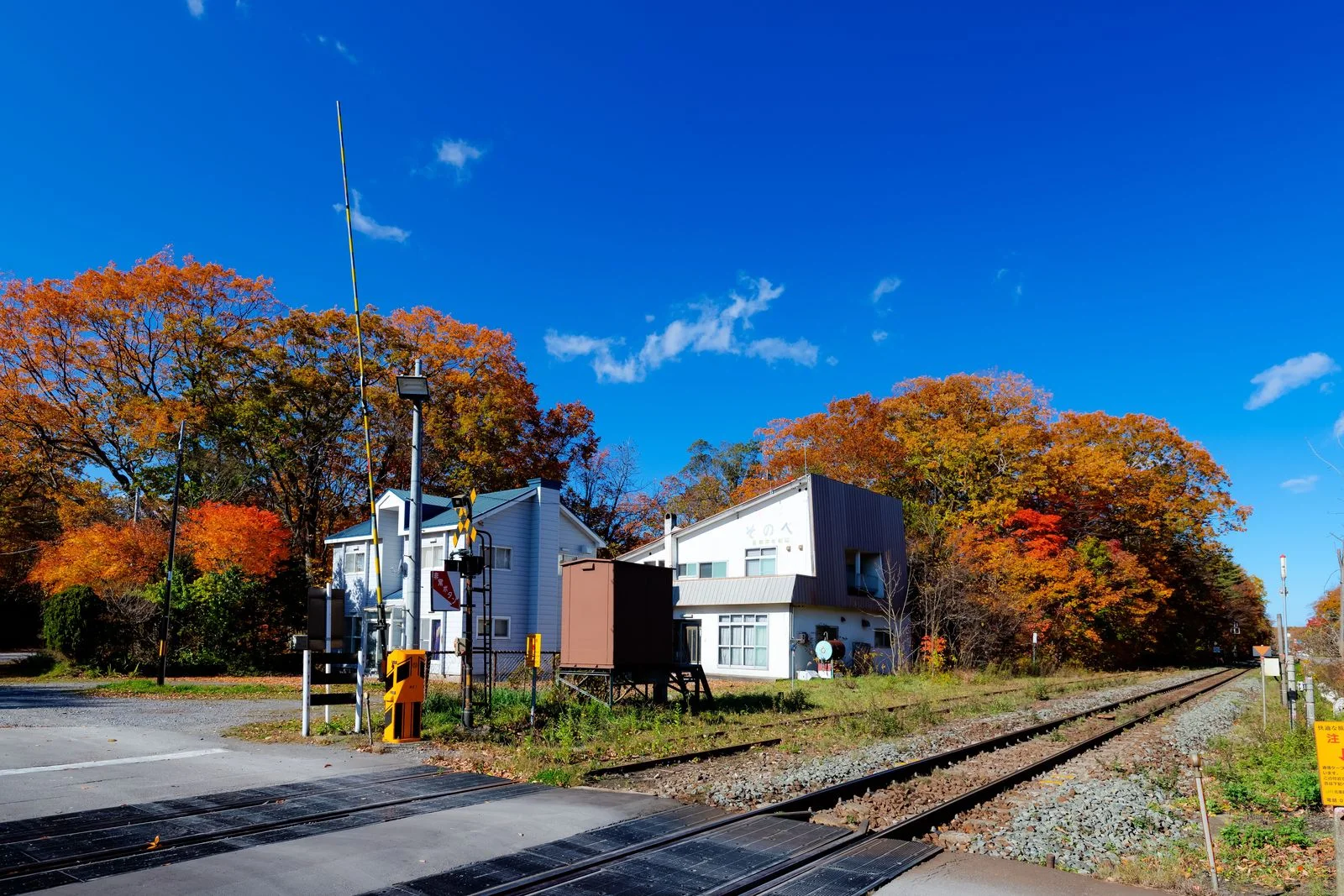 Hakodate city and mountain scenery in autumn