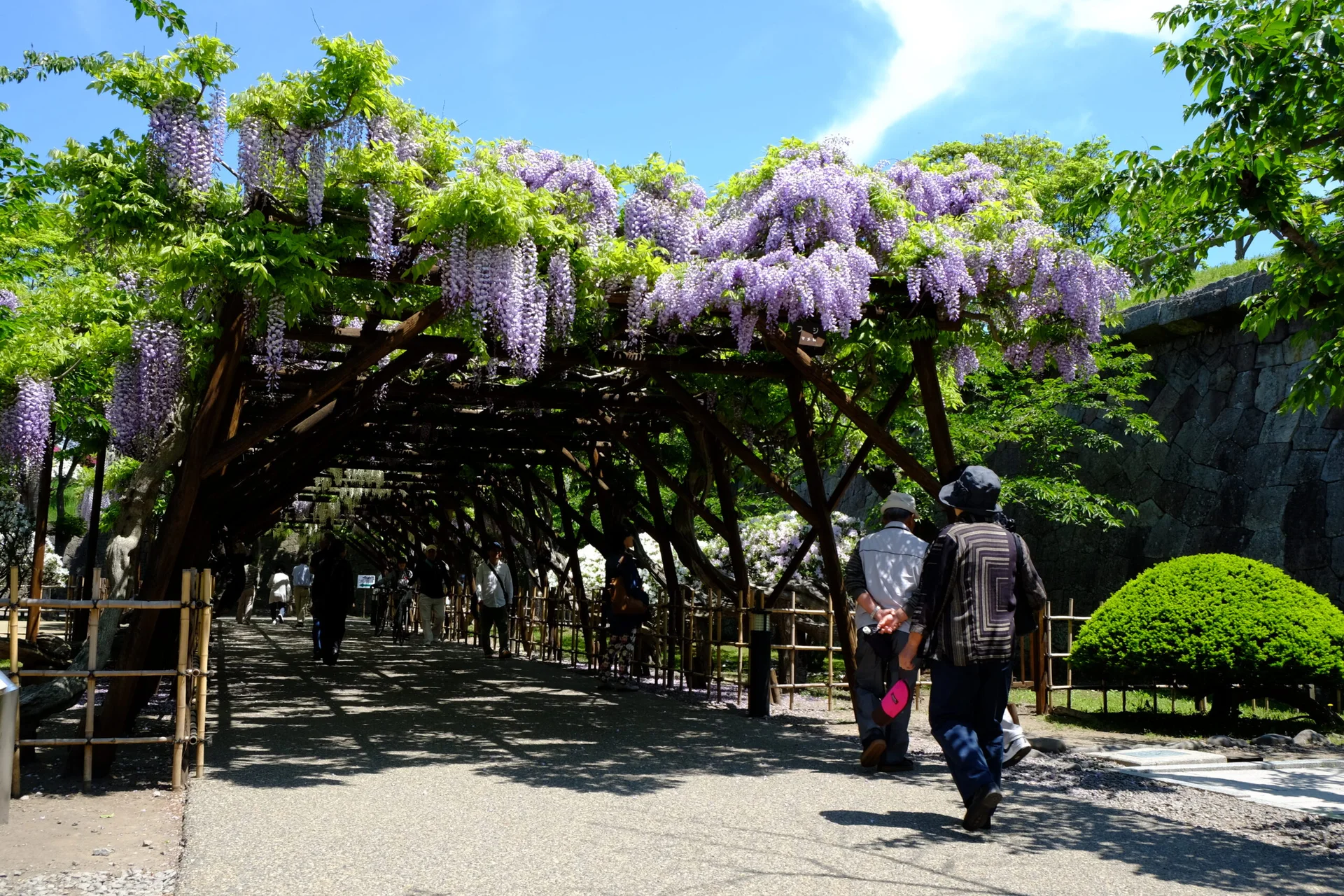 Ground-level paths, stonework and vegetation inside Goryokaku Park in Hakodate