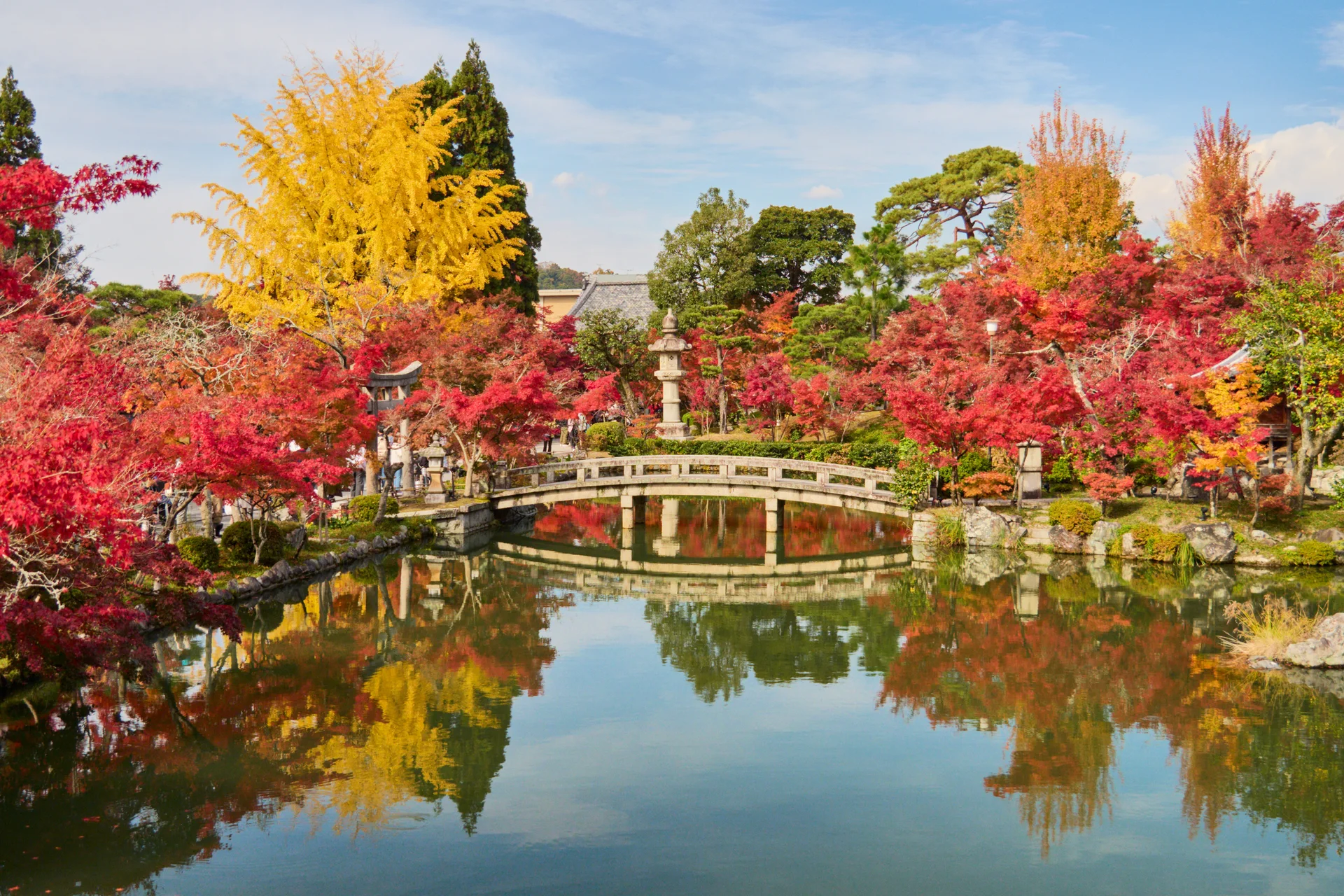 Eikando lowland foliage as a Kyoto backup after mountain leaf fall