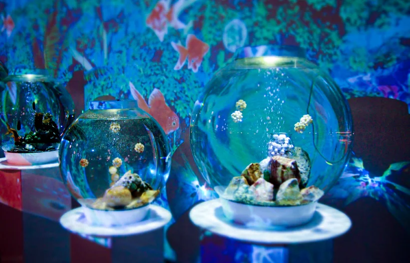 JAPONE KOMIChi area at NARA KINGYO MUSEUM with illuminated Japanese umbrellas and goldfish displays