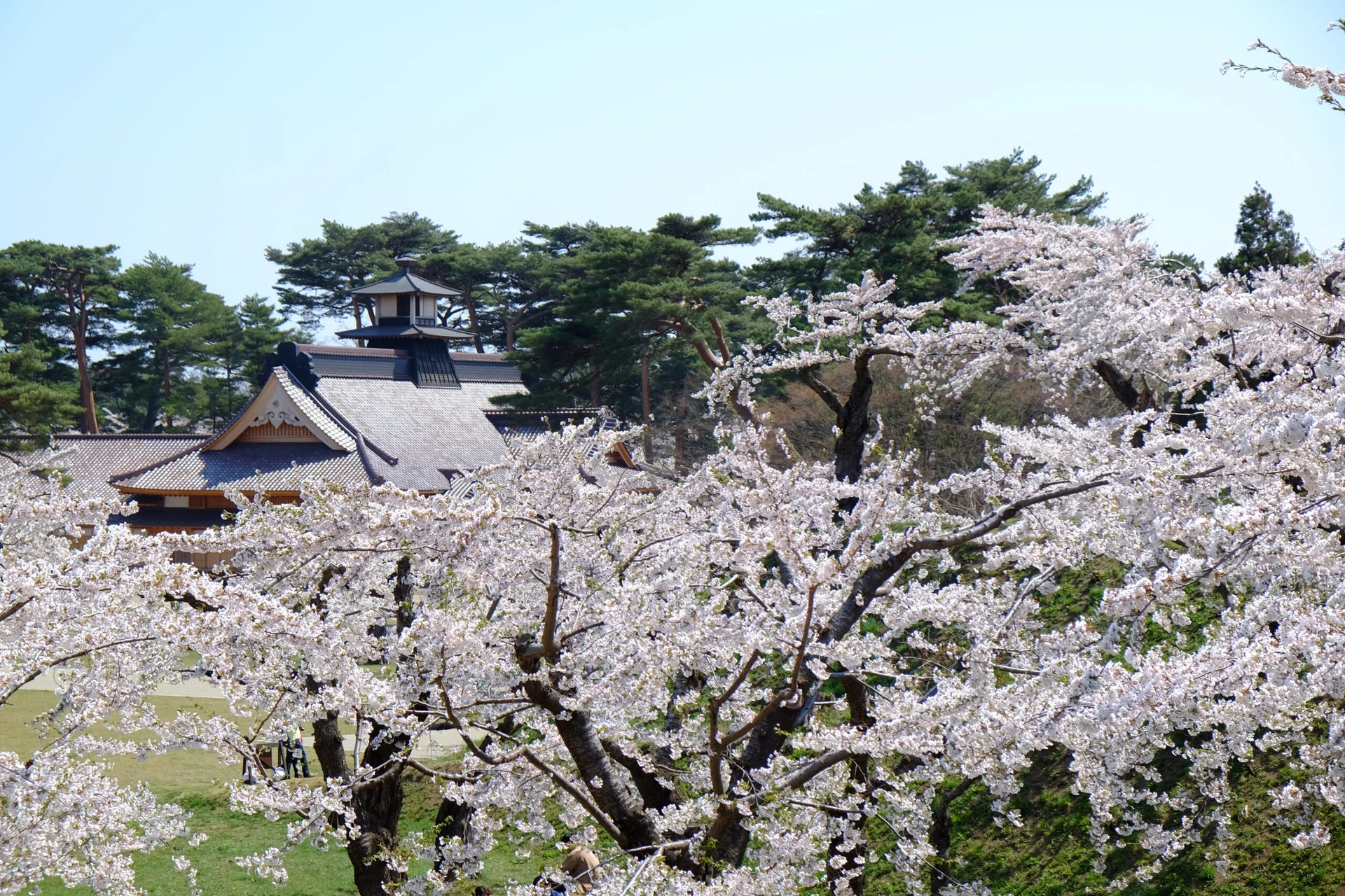 Reconstructed Hakodate Magistrate's Office at the center of Goryokaku