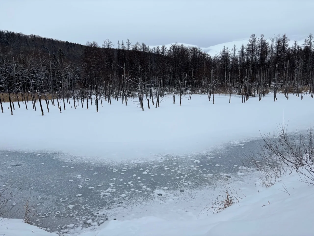 Accommodation view related to Furano vs Biei: Where Should You Stay Overnight?