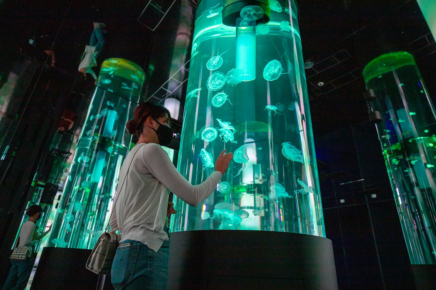 Illuminated jellyfish display inside DMM Kariyushi Aquarium Okinawa
