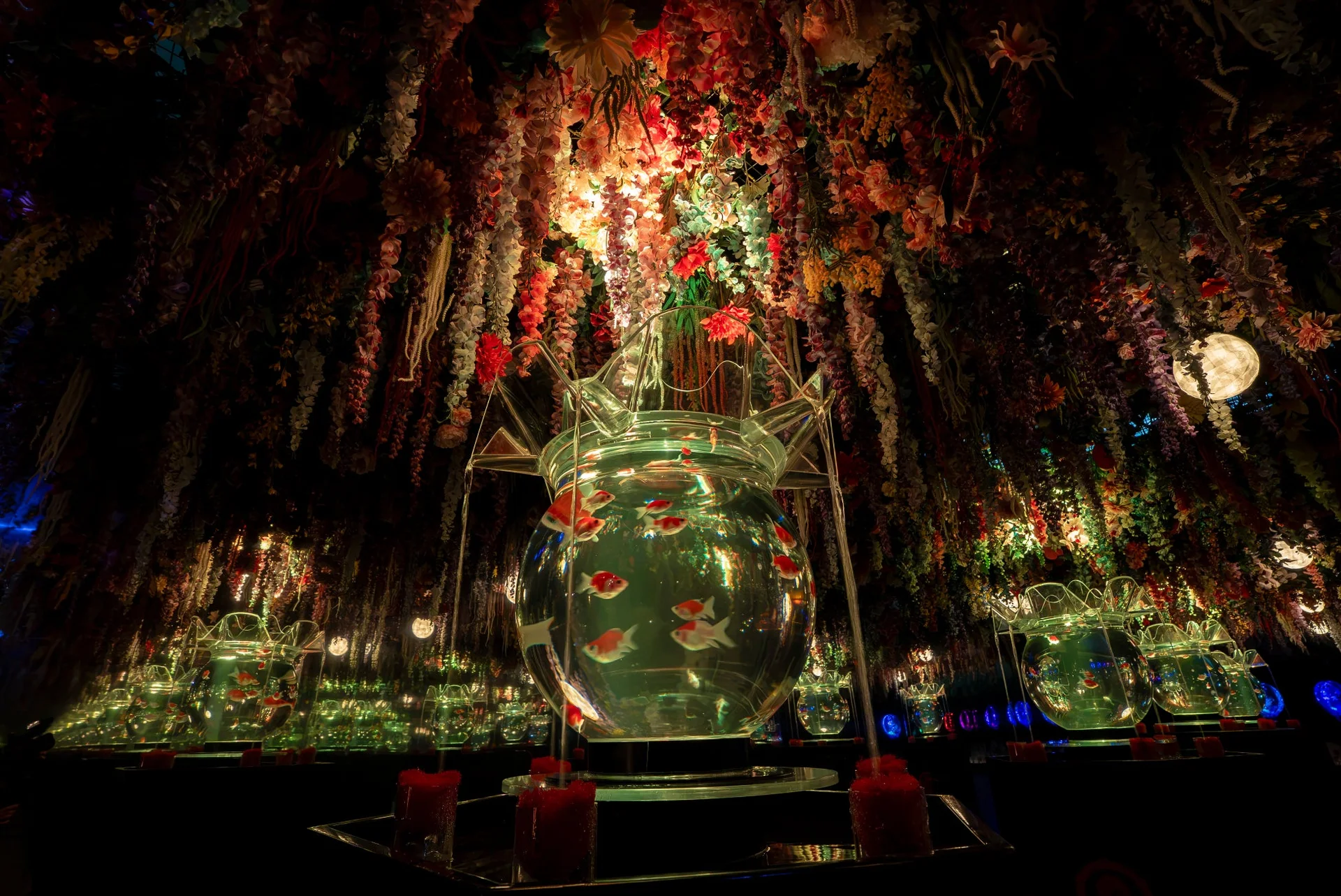 Hanamai installation at Art Aquarium Nagoya 2026