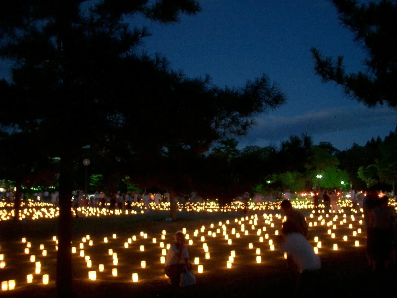 Nara Tokae Arrival Time: 6 PM, 7 PM or After 8 PM? — Japan travel guide