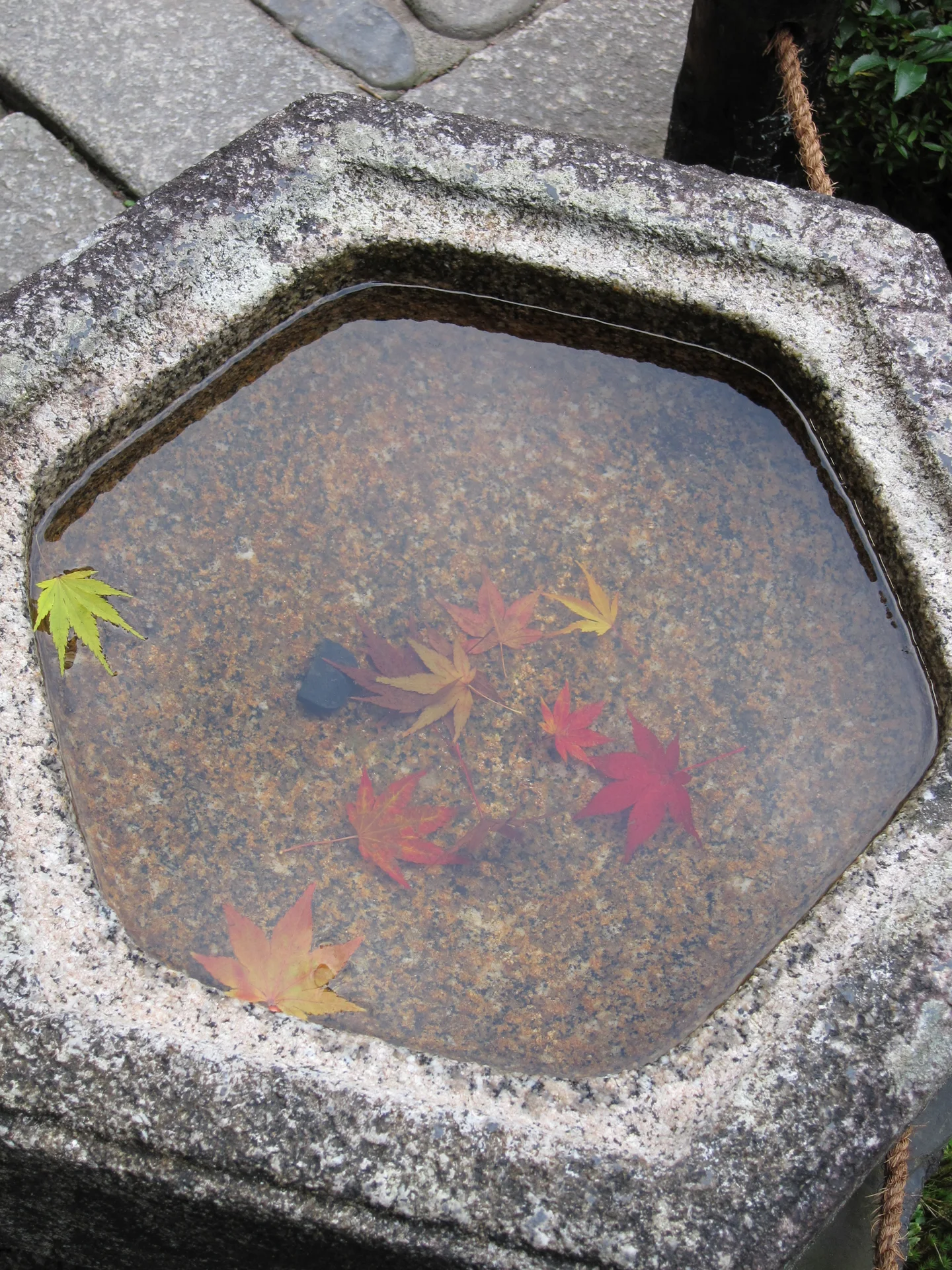 Tofukuji Temple autumn leaves illustrating a Kyoto route built around local corridors rather than city hopping