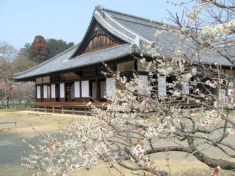 Kodokan main hall and plum blossoms in the former Sannomaru of Mito Castle, Japan’s 100 Famous Castles No.14