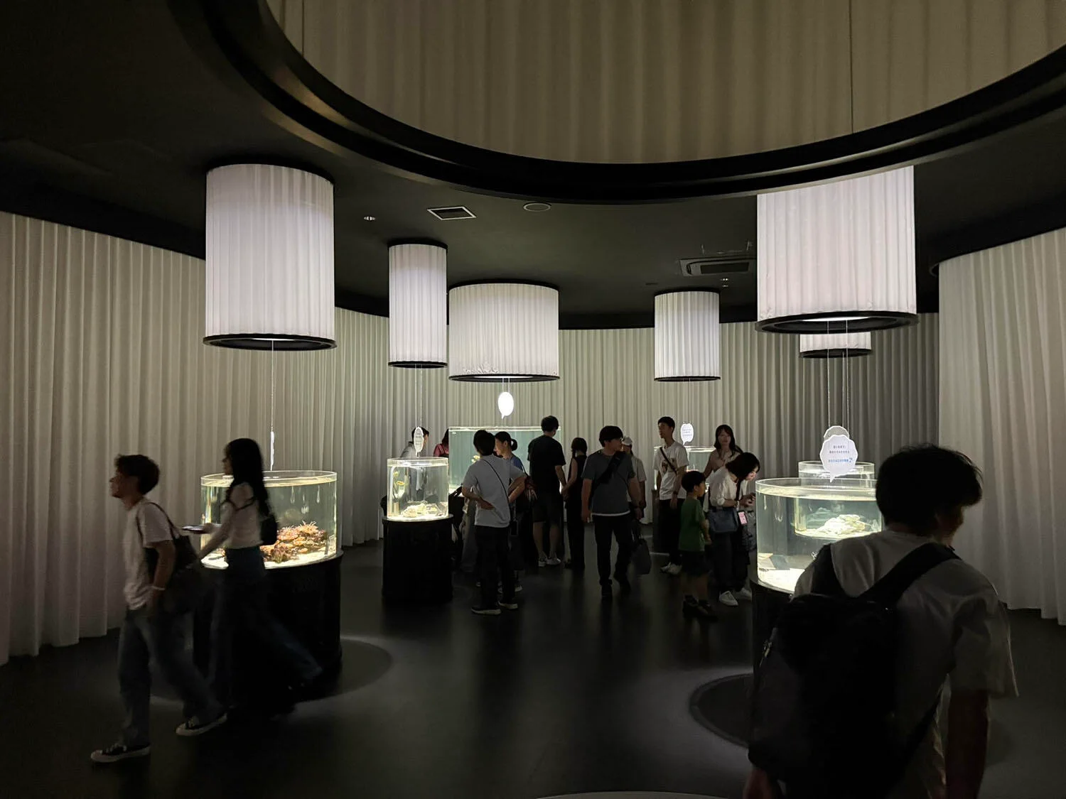 Visitor space inside NIFREL Osaka