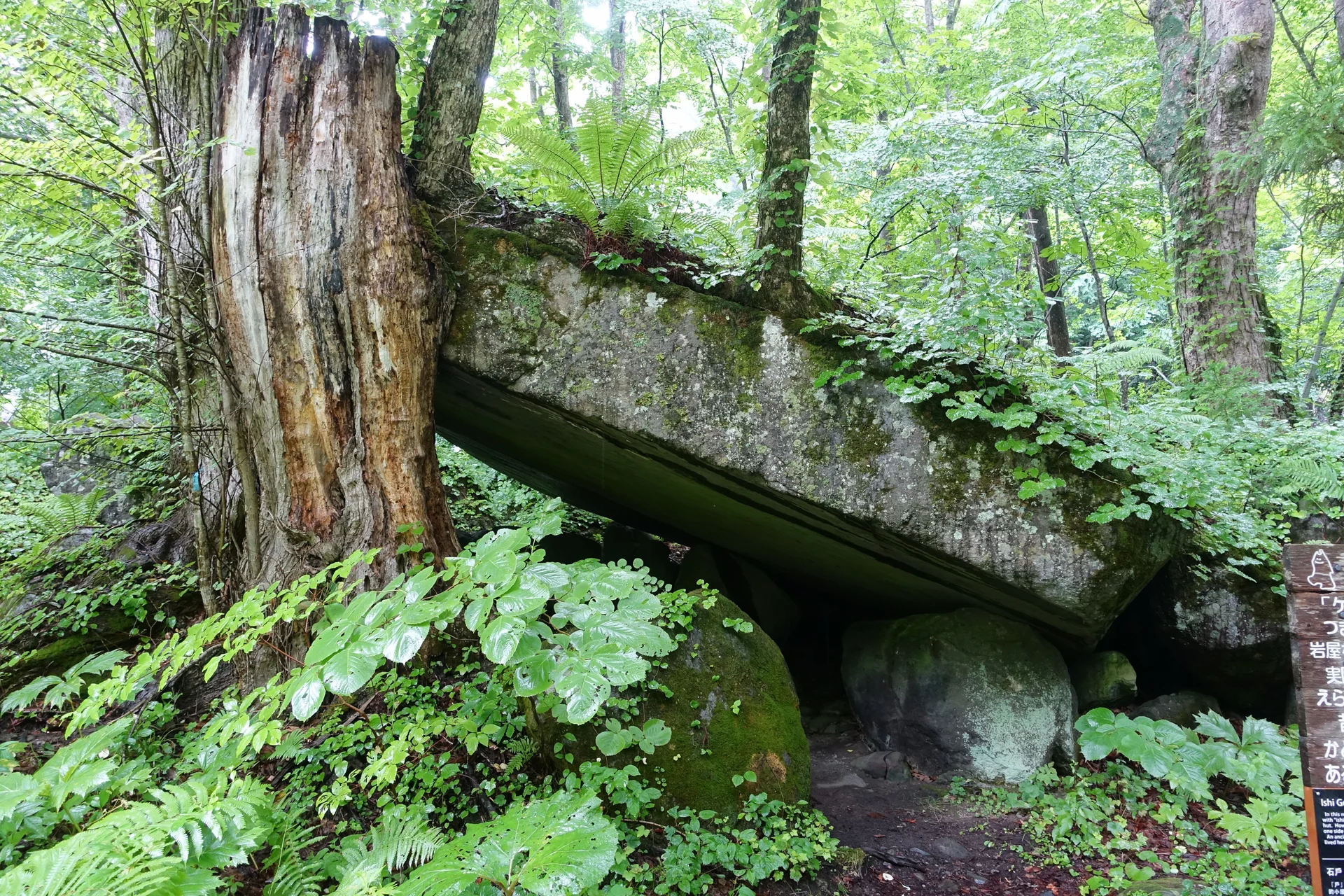 Oirase Gorge autumn foliage for a nature-led Hoshino stay