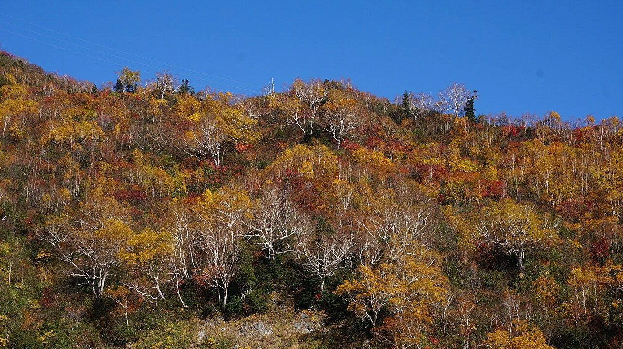 Tateyama Kurobe Alpine Route in autumn with multiple transfers and luggage planning