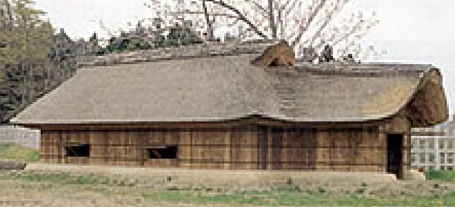 Reconstructed workshop and thatched buildings in Nejo Castle’s main bailey, showing production and storage functions