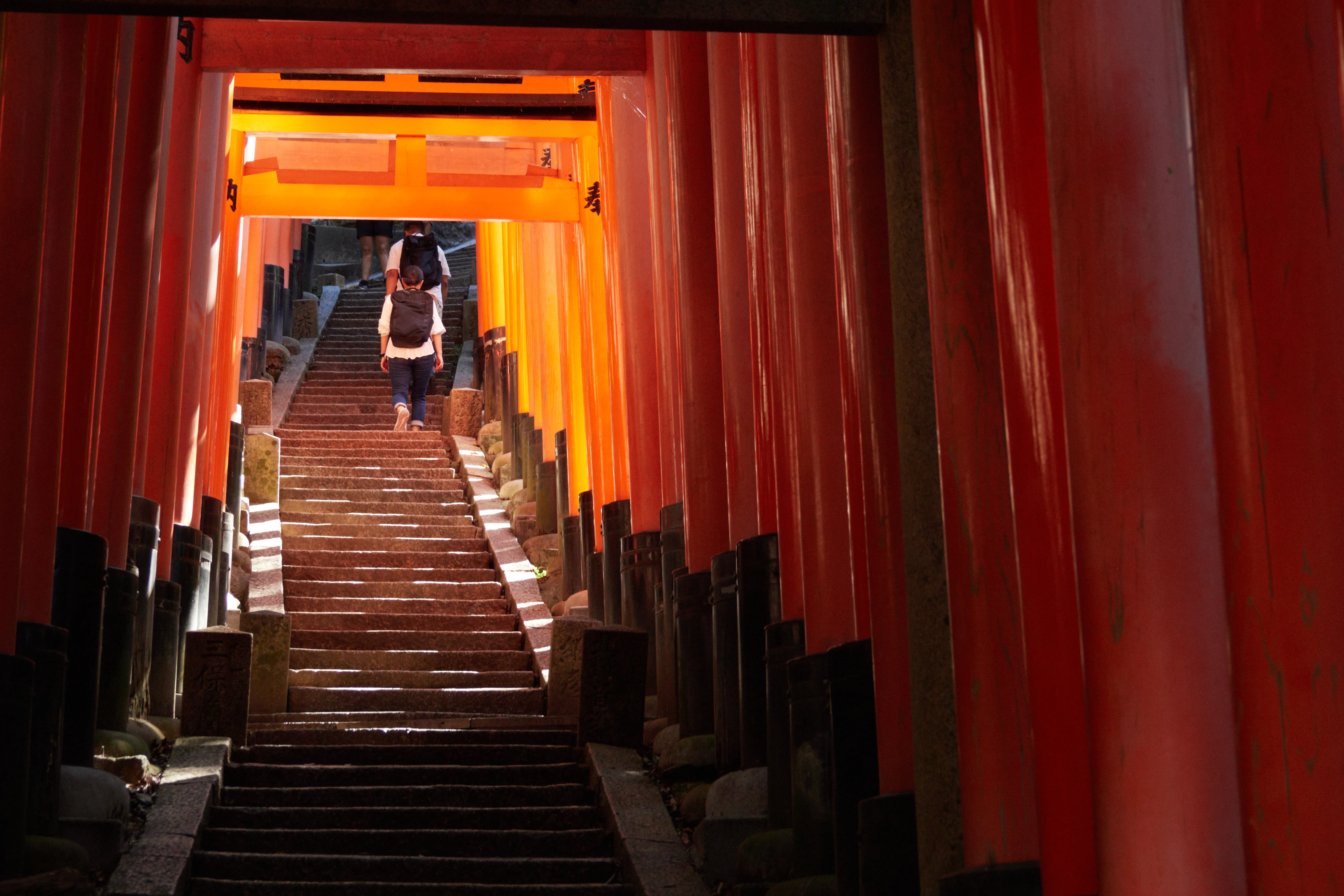 Fushimi Inari in a Kyoto one-day itinerary: see the main torii route without sacrificing the entire afternoon to the mountain