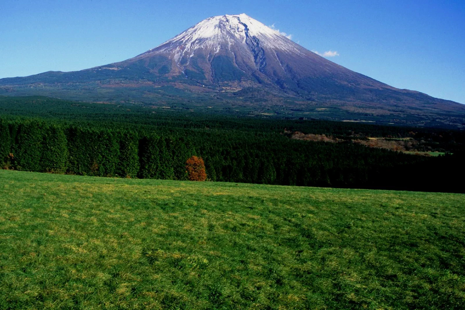 Asagiri Kogen below Mount Fuji. Total paragliding experience time and actual airborne time are not the same thing.