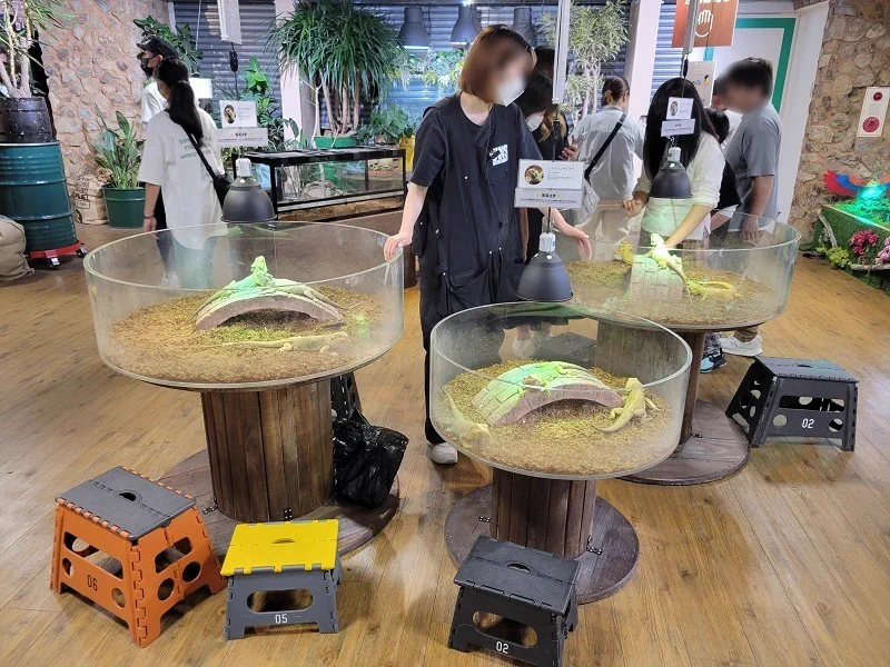 Circular reptile exhibits inside Nara Ikimono Museum at Mi Nara