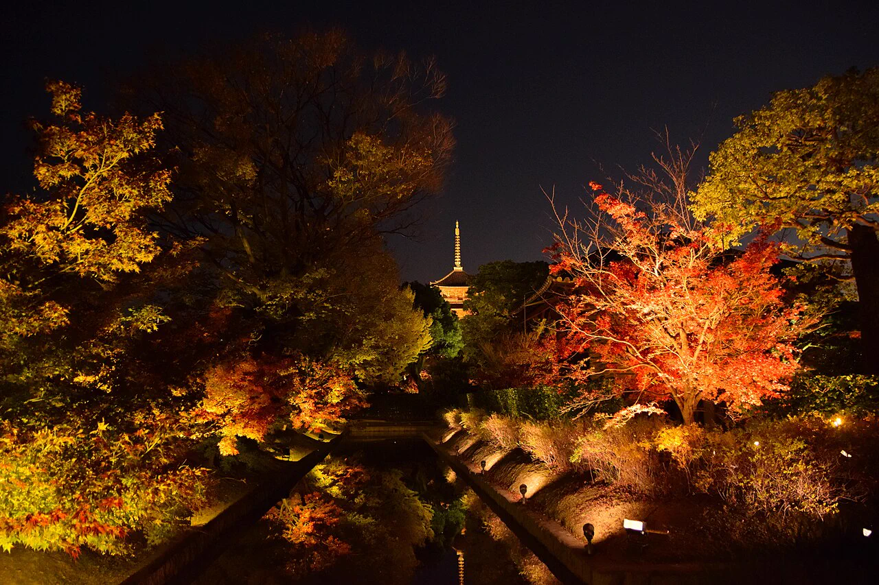 Toji five-story pagoda and autumn night reflections
