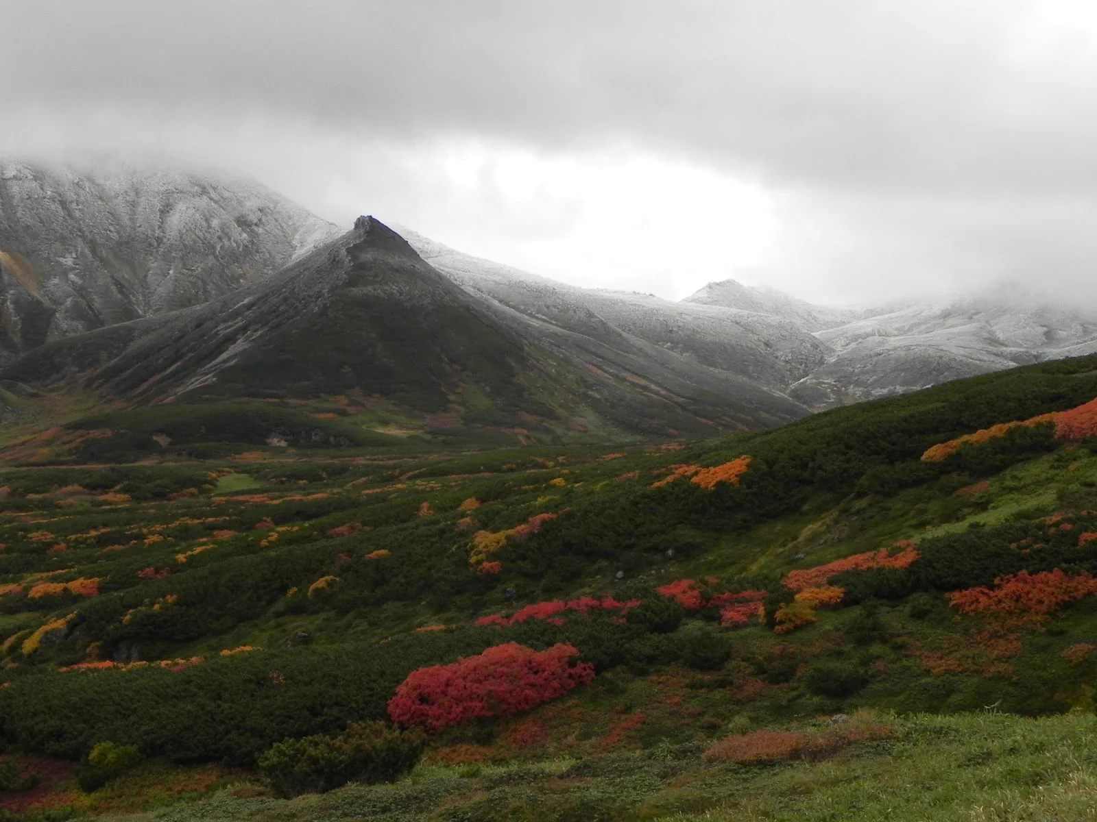 Japan Autumn Leaves in September: Hokkaido, Alpine Routes and Grass Foliage — Japan travel guide