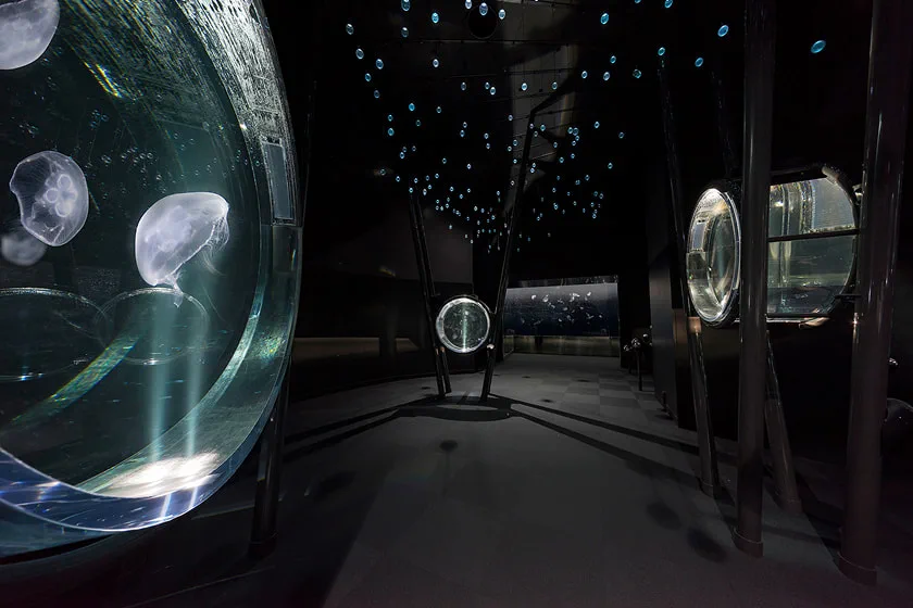Jellyfish Galaxy at Osaka Aquarium Kaiyukan with floating jellyfish in a dark exhibition space