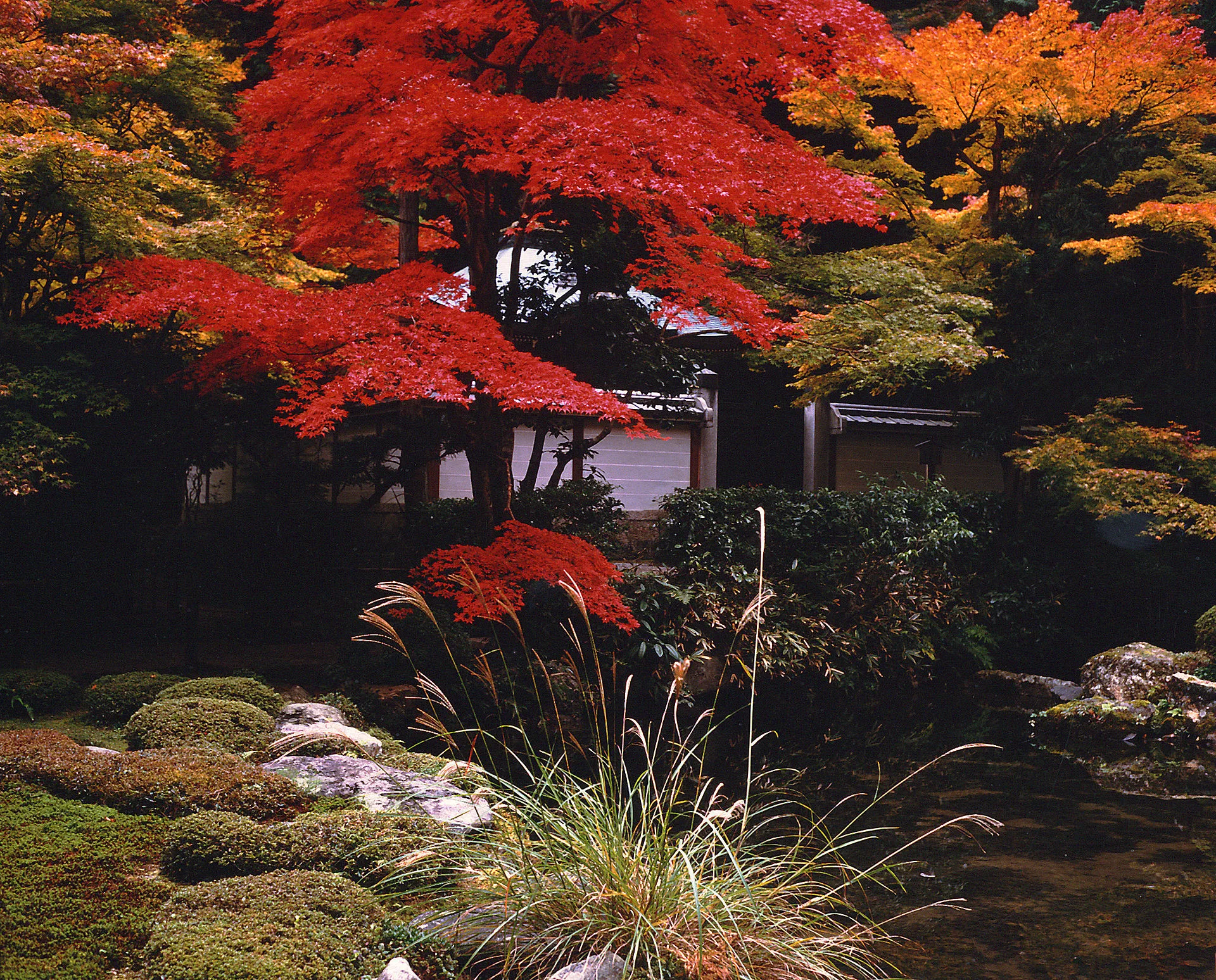 Nanzenji autumn leaves on the northern Higashiyama route in Kyoto