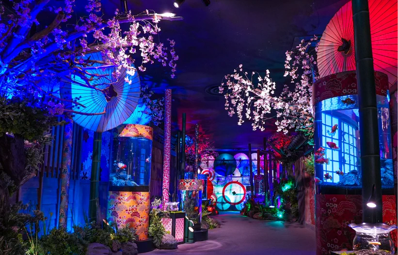NARA KINGYO MUSEUM art zone with illuminated goldfish tanks and Japanese umbrellas