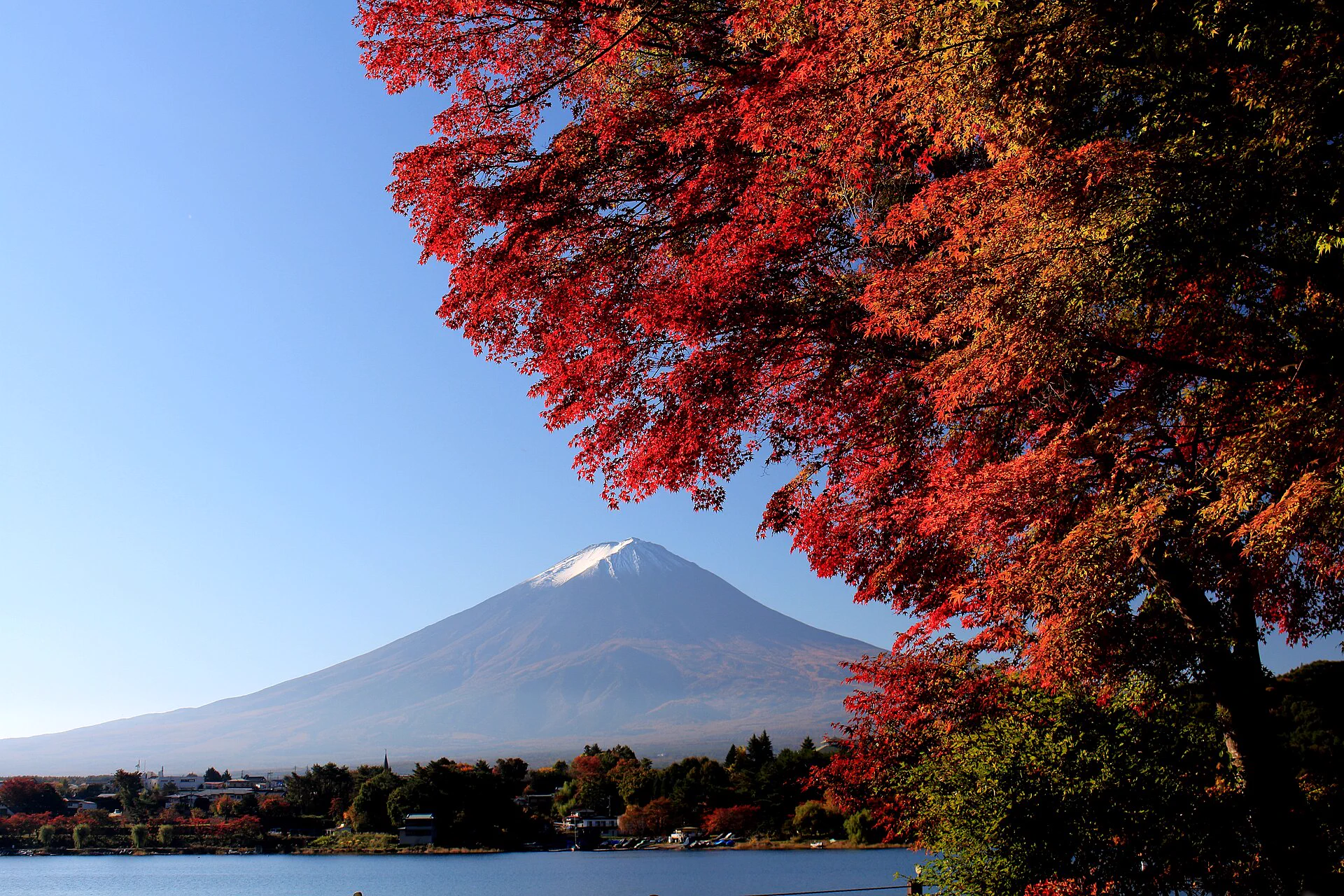 Lake Kawaguchi vs Lake Yamanaka for Autumn Leaves: Views, Access and Hotels — Japan travel guide