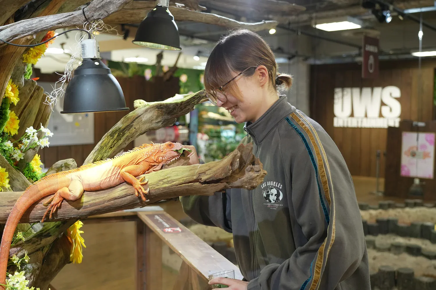 Child-friendly iguana feeding experience at Nara Ikimono Museum