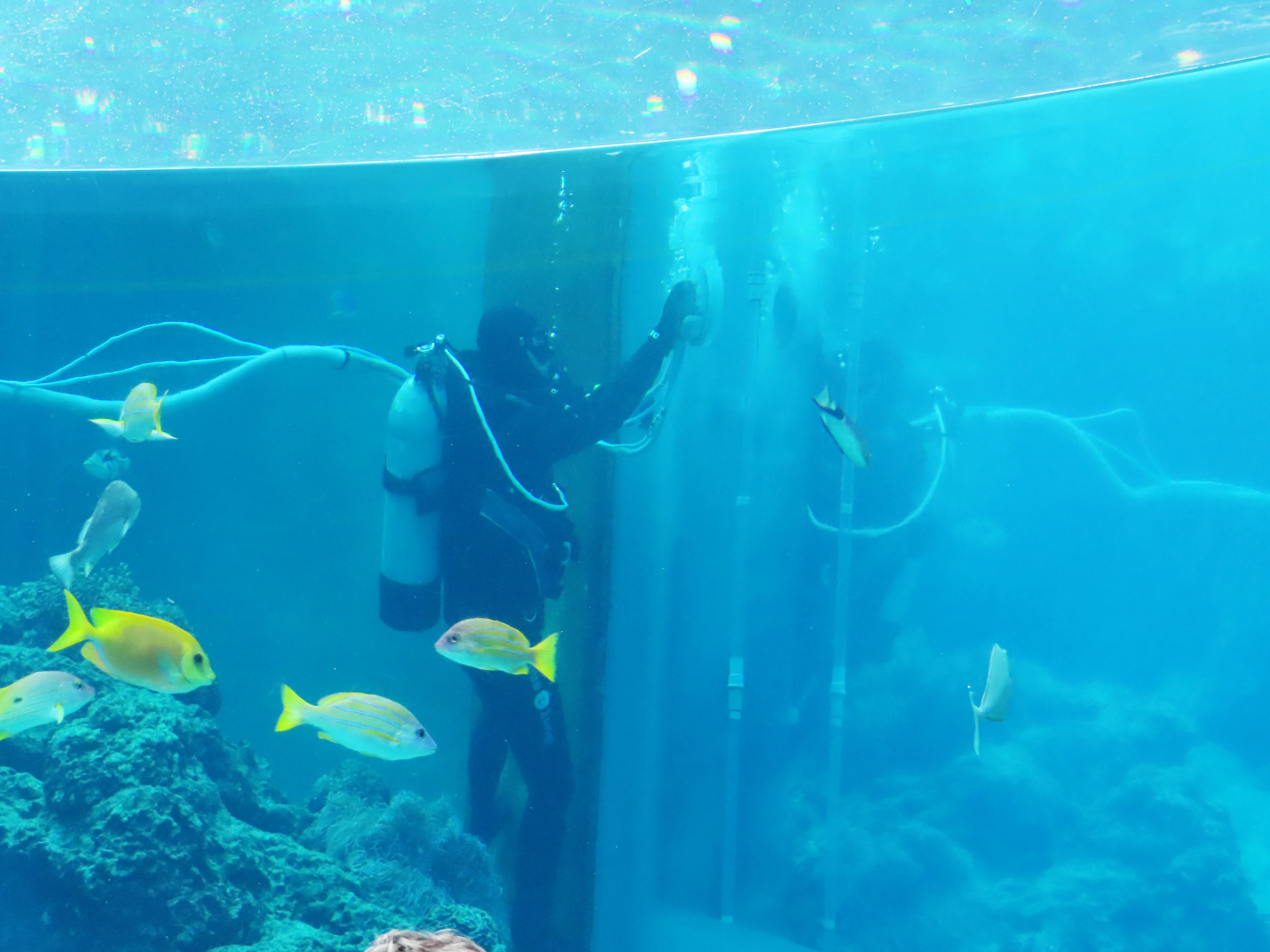 Okinawa Churaumi Aquarium family visit and child-friendly itinerary pacing