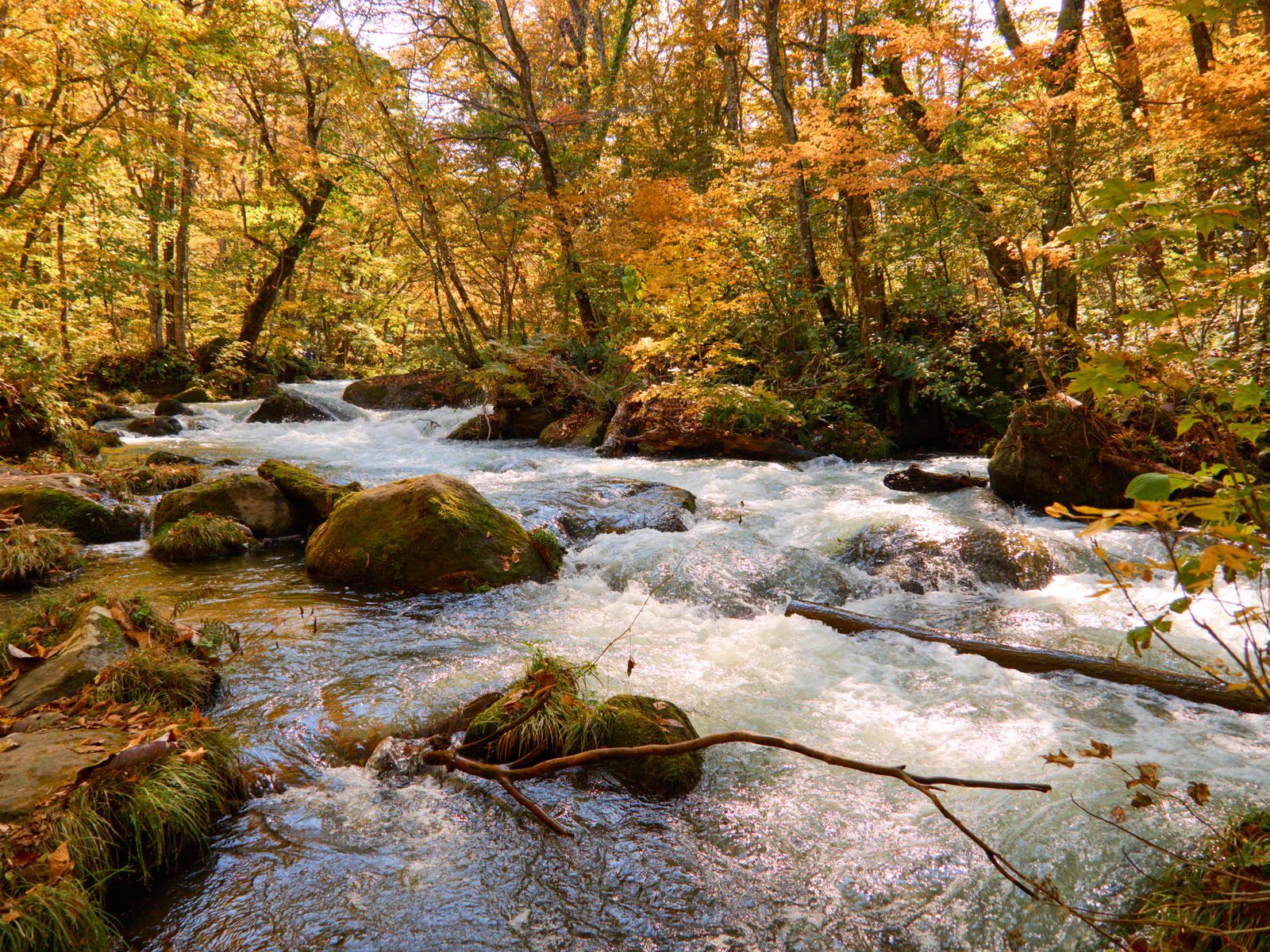 Oirase Stream autumn trail showing why a Tohoku week needs regional hotels and reserved transport
