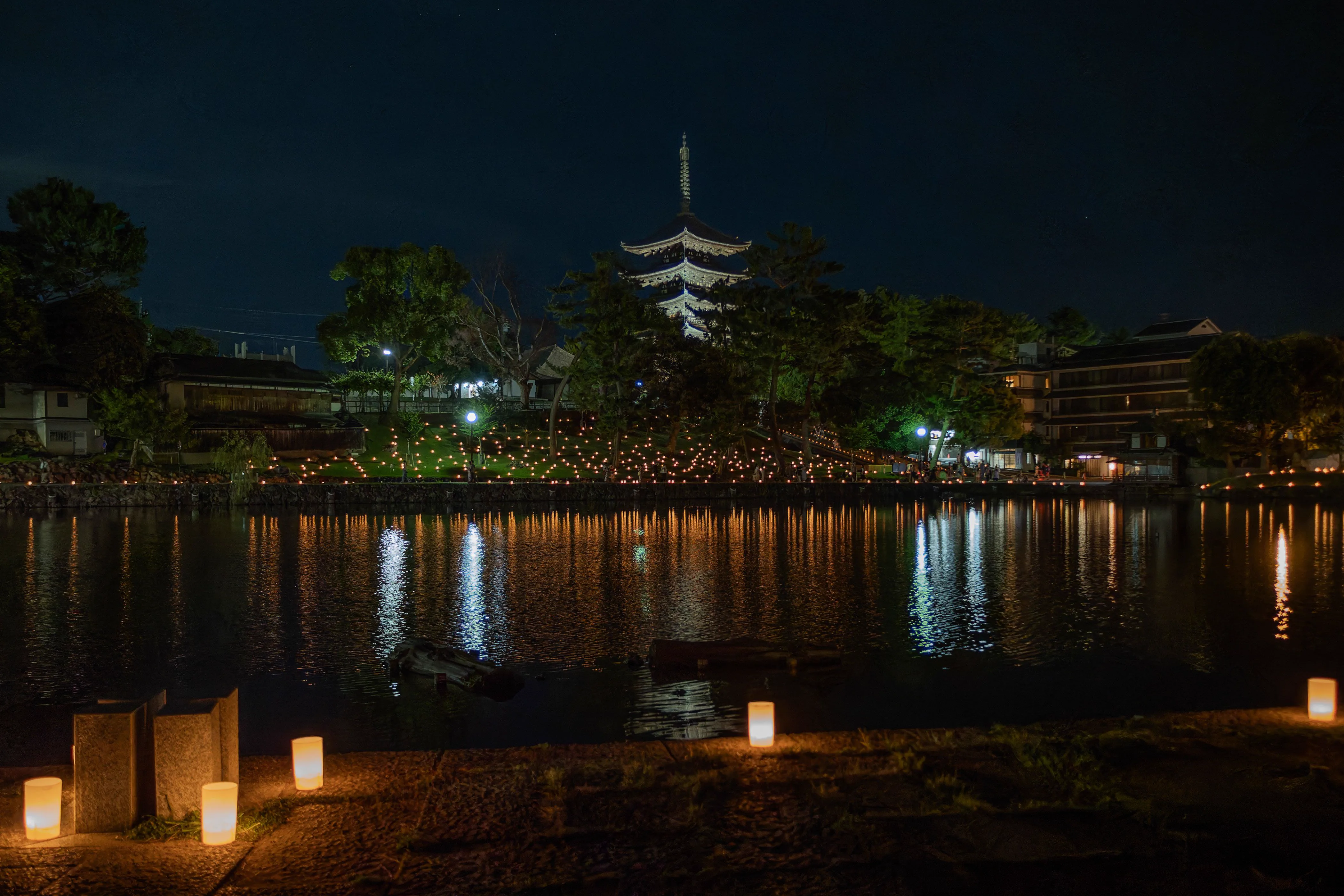 Nara Tokae Sarusawa Pond venue with Kofukuji pagoda
