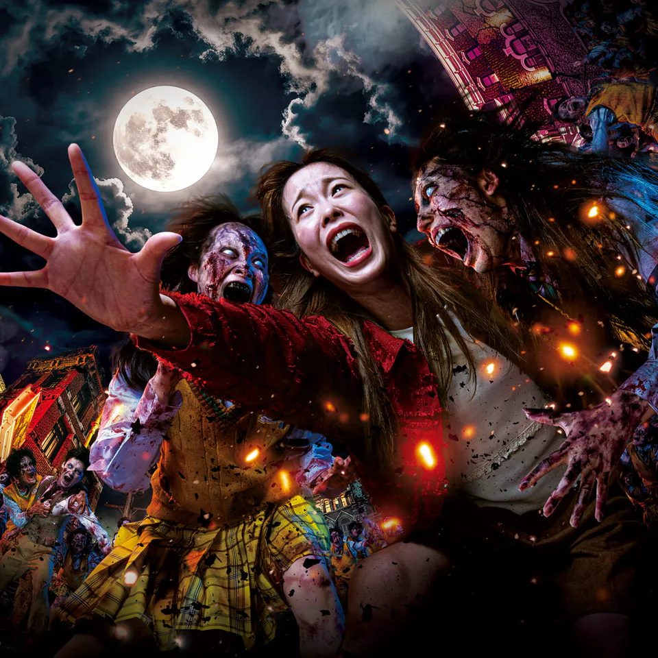 USJ Halloween 2026 One-Day Itinerary: Opening to Horror Night — Japan travel guide