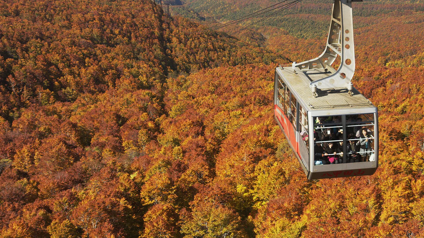 Hakkoda Autumn Leaves Guide: Ropeway, Sukayu Onsen, Access and Weather Plans — Japan travel guide