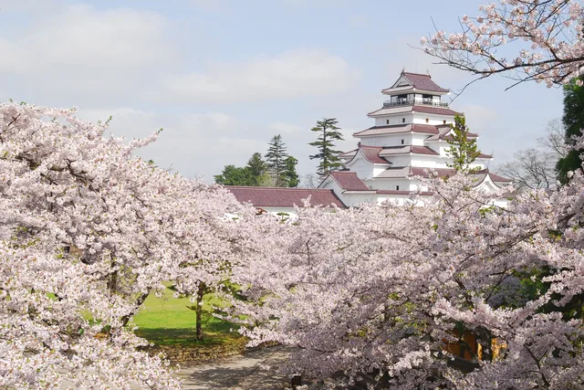 Japan’s 100 Famous Castles No.12: Tsuruga Castle — ¥410, ¥520 or ¥730? Pick the Upgrade That Fits — Japan travel guide