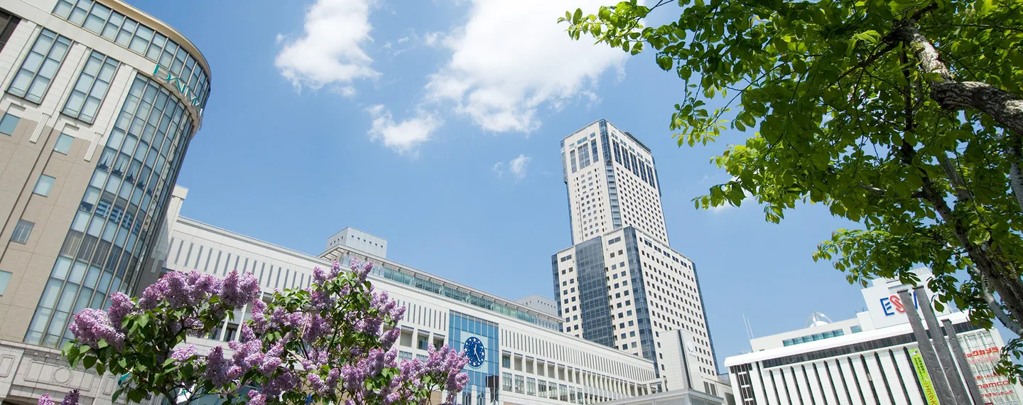 Sapporo Station Hotel Comparison: JR Tower Nikko or Granbell for Snow and Onsen? — Japan travel guide