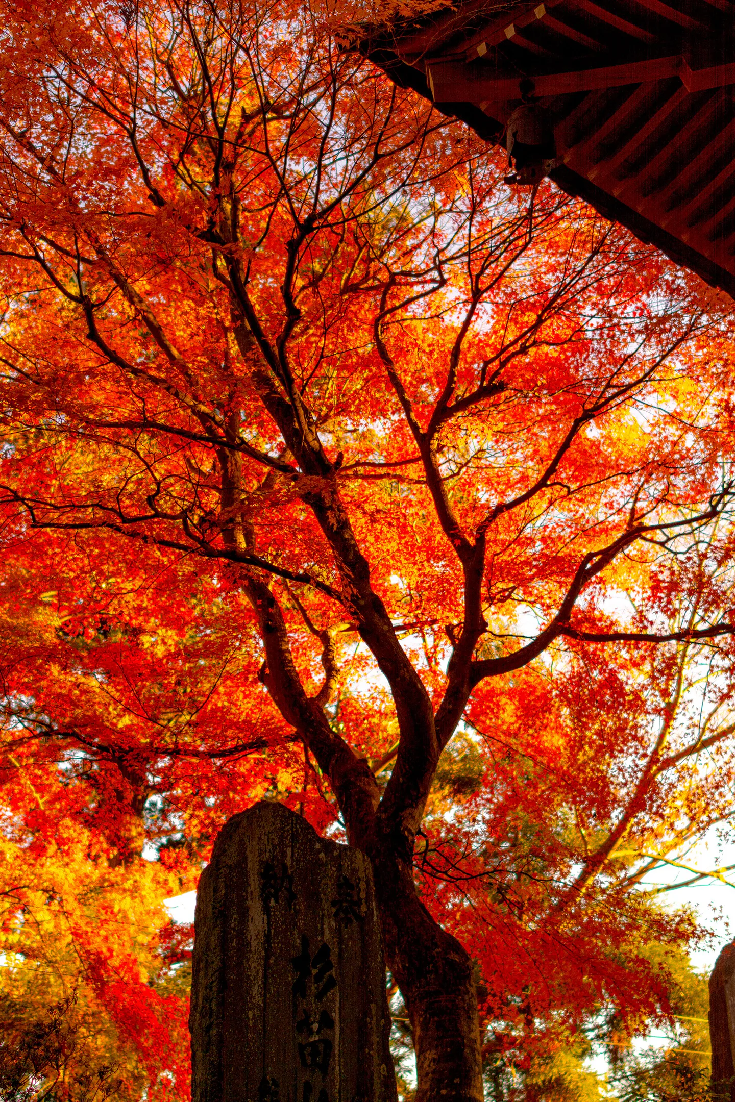 Mt Takao autumn foliage and western Tokyo mountain scenery for a day-trip decision