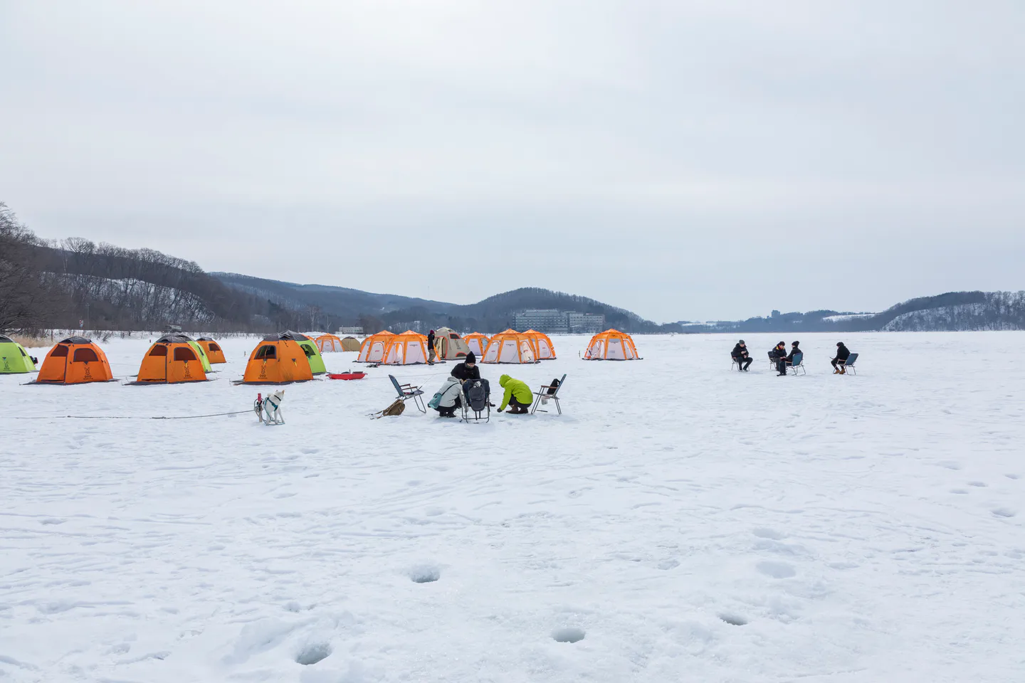 Hokkaido Winter Activities Without Skiing: Ice Fishing, Dog Sledding and Drift Ice — Japan travel guide