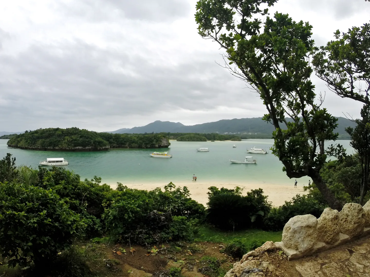 Ishigaki Private Car Charter: 4–8 Hours, 5-Seater vs 10-Seater, and Hirakubosaki — Japan travel guide
