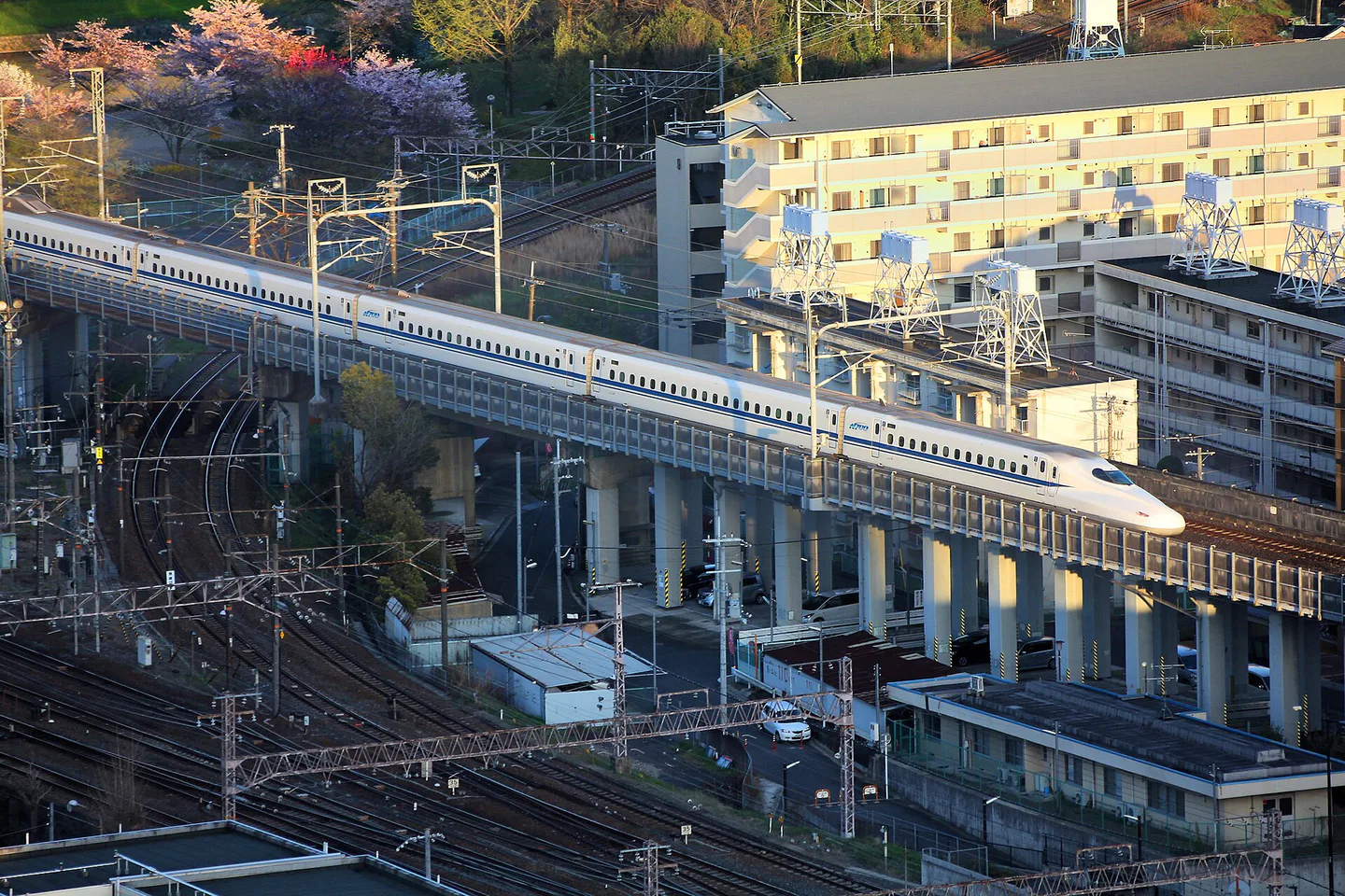 Nozomi Shinkansen for a 14-day JR Pass versus individual tickets comparison