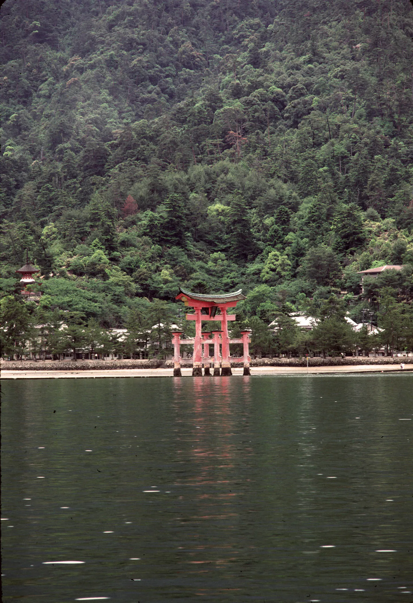 Things to Do on Miyajima: Shrine, Mount Misen, Kayaking and Food — Japan travel guide