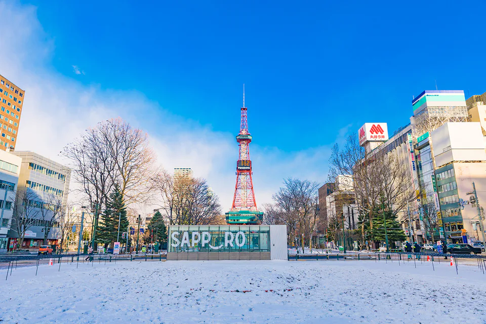 Snow-covered Odori Park in central Sapporo, representing a city ski base