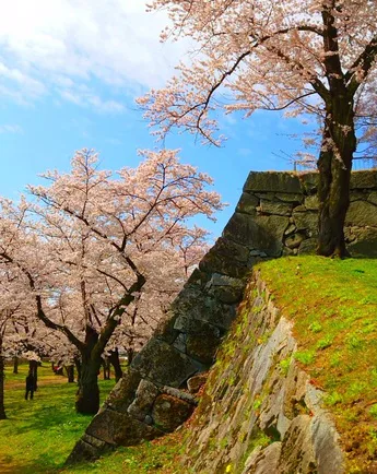 Japan’s 100 Famous Castles No.6: Morioka Castle — The Ruins Are Free, but Is the ¥450 Museum Worth It? — Japan travel guide