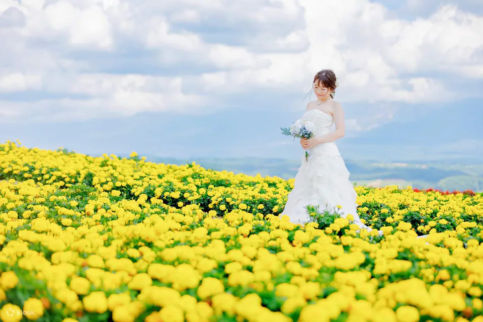 Hokkaido Wedding Photo Tour: Dress, Kimono, 3 Locations or a Shrine Wedding? — Japan travel guide