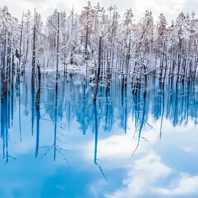 Furano vs Biei: Where Should You Stay Overnight? — Japan travel guide
