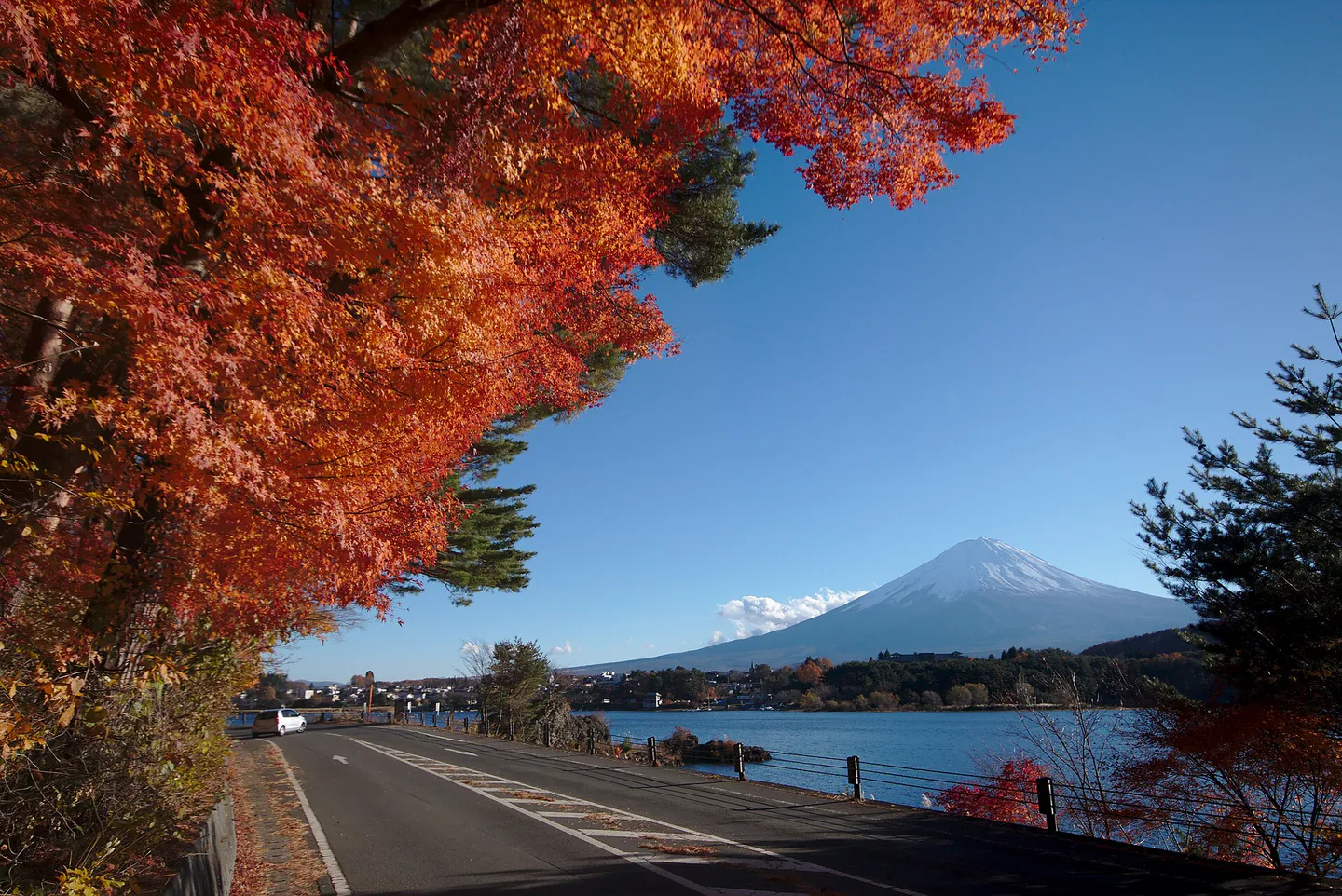 Lake Kawaguchi Maple Corridor: Festival, Illumination, Access and Hotels — Japan travel guide