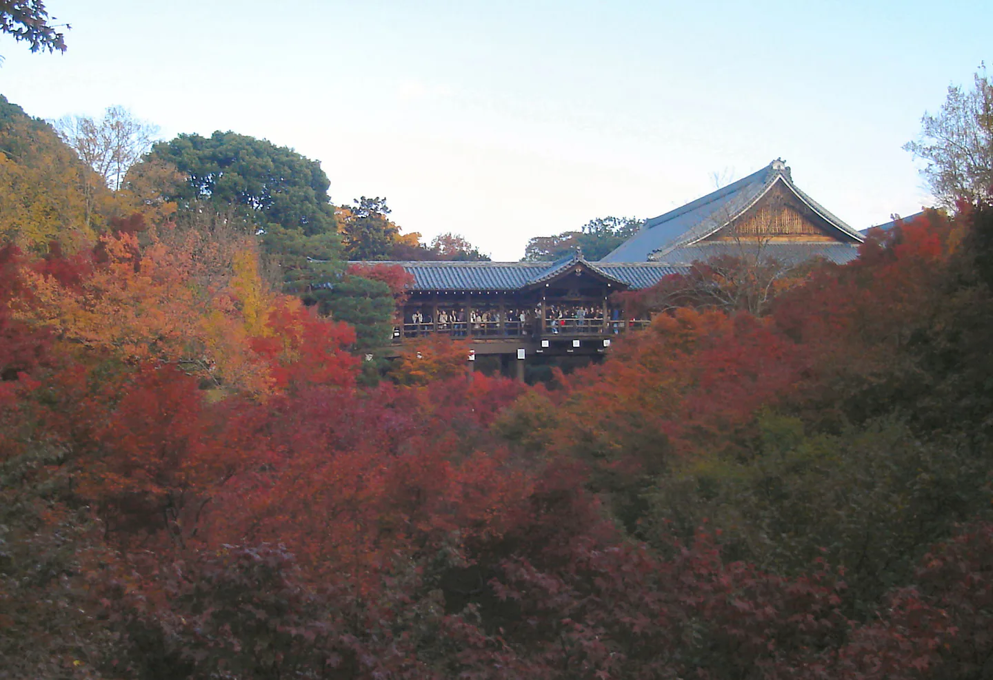 Tofukuji autumn valley where first admission, bridge movement and exit time need to be controlled
